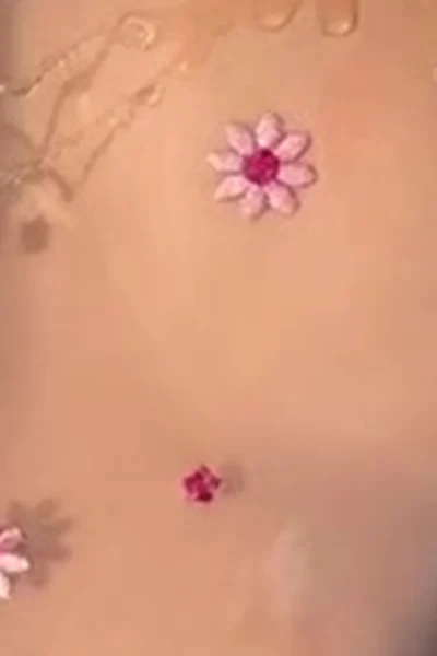 wild queen Briddy Li rubs tits while moaning softly onlyfans leak