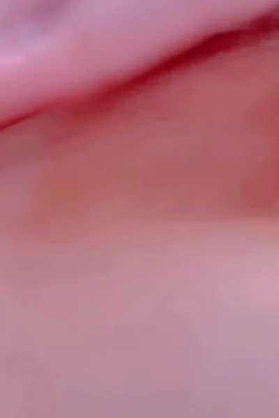 horny naked asian girl Potato godzilla using her fingers in her wet pussy onlyfans leak